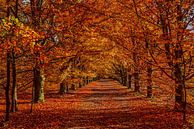 Herbstfarben von Bert Heuvels Miniaturansicht