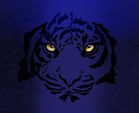 The eyes of the Tiger