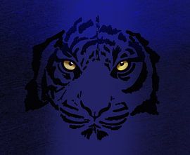 The eyes of the Tiger