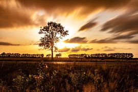 Sonnenlose Höhlen von Frank Slaghuis