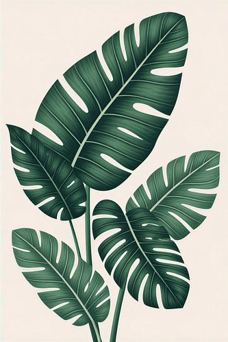 Minimalist Tropical Monstera Leaves Botanical Illustration on Cream Background