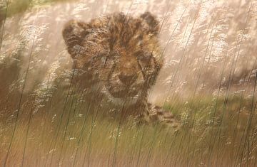 Cheeta welp in het gras. Digitale kunst. Afrika