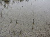 Dry water von Nan van Elburg Miniaturansicht