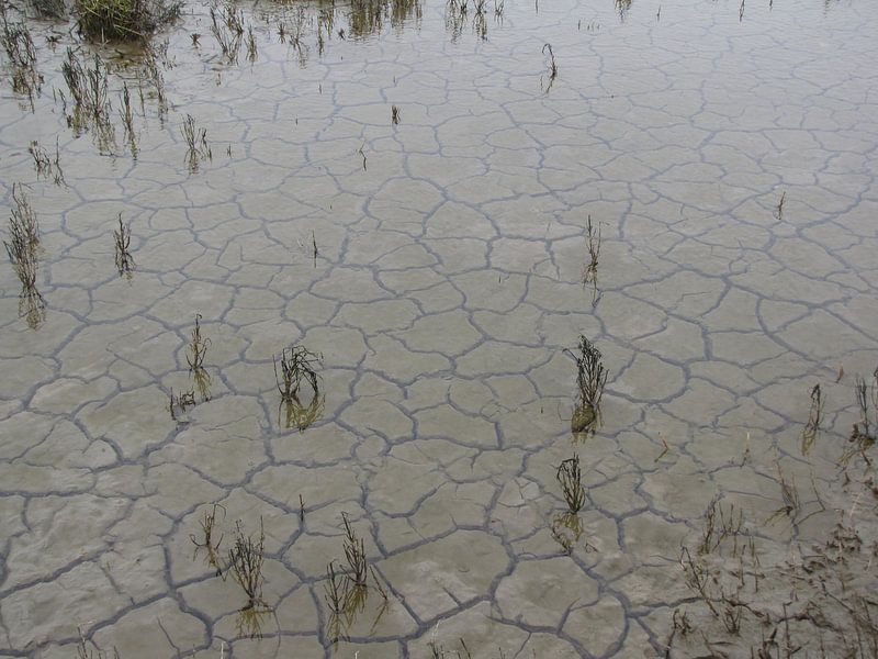 Dry water von Nan van Elburg