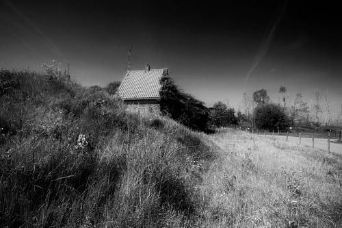 Een huisje in de Biesbosch