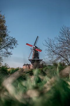 Windmolen van Arjen Hoftijzer