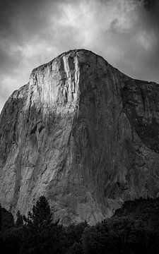 El Capitan von der Yosemite-Wiese aus von Atomic Photos