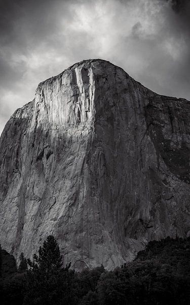 El Capitan seen from the meadow (Yosemite) by Atomic Photos