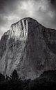 El Capitan seen from the meadow (Yosemite) by Atomic Photos thumbnail