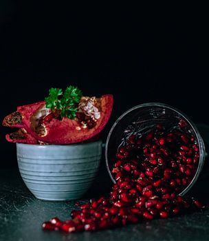 Créer avec la couleur