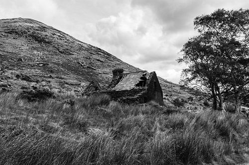 Ruin of an Irish cottage