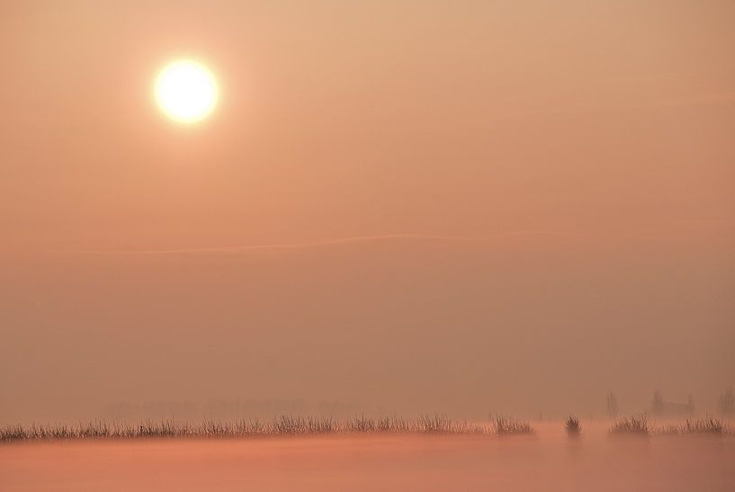 Mesurer le matin par Mariska Hofman