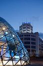 Blob en Philips Lichttoren in Eindhoven by Michelle Peeters thumbnail