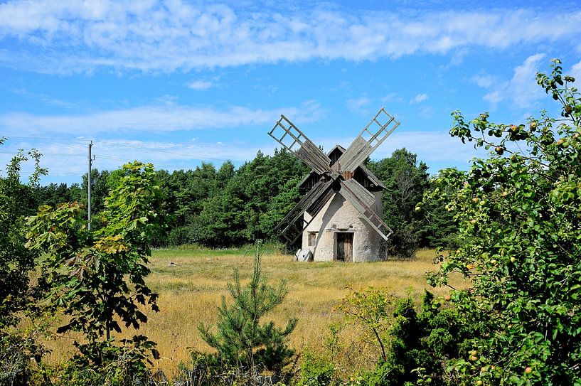 Picturesque windmill by Frank's Awesome Travels
