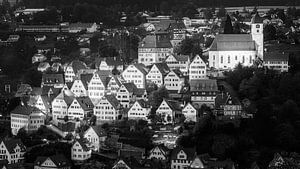 Altensteig in schwarz-weiß