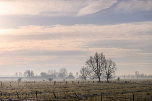 wonderful winter morning