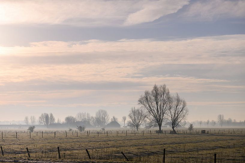 wonderful winter morning by Tania Perneel