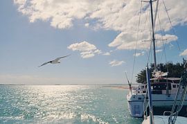 Sunny Sailing Day - Coastal Photography in Cuba by Carolina Reina Photography