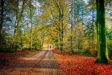 cheval et cavalier en amazone dans la forêt d'automne sur eric van der eijk