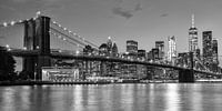 Skyline New York schwarz und weiß von Bart van Dinten Miniaturansicht