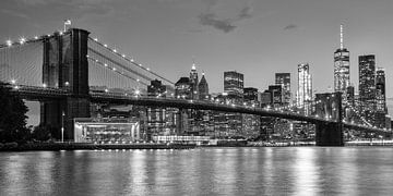 Skyline New York schwarz und weiß von Bart van Dinten