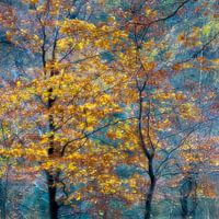 Herfstvormen