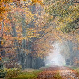 Taking the horse into the autumn forest by Henk Meeuwes