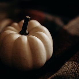 White pumpkin van Gemmy van Esch