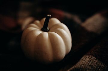 White pumpkin van Gemmy van Esch