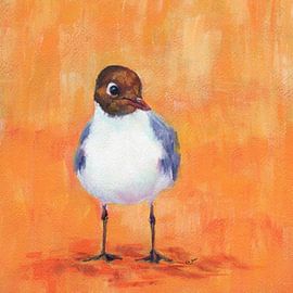 Lachmöwe am Sandstrand von Karen Kaspar