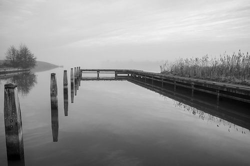 Foggy New Year's Eve