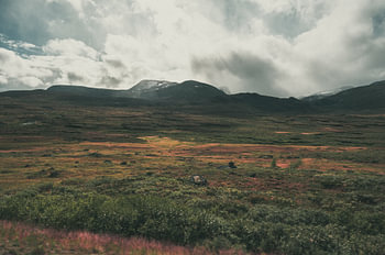 Tundralandschaft in Jotunheimen