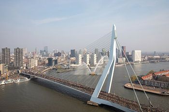 Beginn des Marathons am Fuße der Erasmusbrücke in Rotterdam