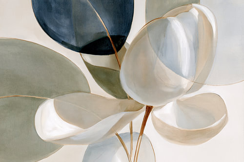 Softe Abstract Accent