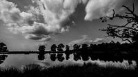 Dwingelderveld