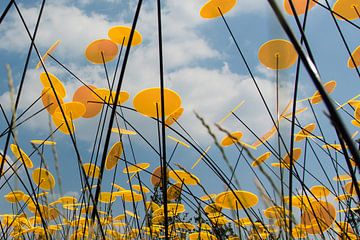 A field of yellow discs by Dick Carlier