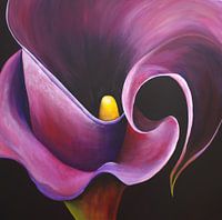 Meet the warmth of Magical Magenta
