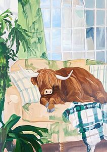 Highland Cow auf dem Sofa