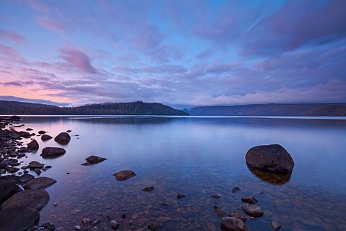 Het meer van St. Clair Tasmanië