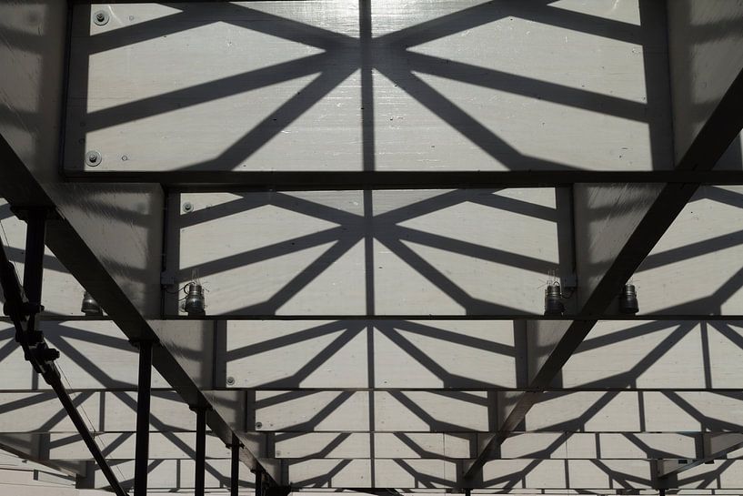 Decke der Arena in 's-Hertogenbosch von Rob van Eerd