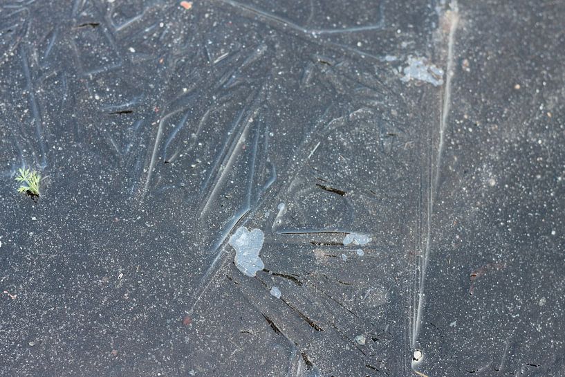 Eiscreme von Jelte versendaal