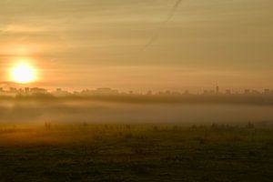 Natürliche Schönheit im Nebel
