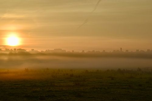 Natuurschoon in de mist