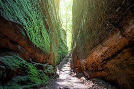 Felsenland dans le sud de l'Eifel, Rhénanie-Palatinat, Allemagne sur Alexander Ludwig
