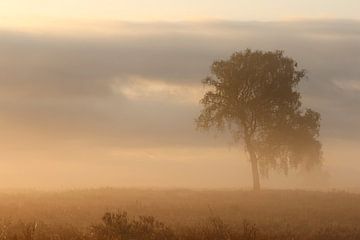 Zonsopkomst op de heide.2 van Daniëlle Eibrink Jansen
