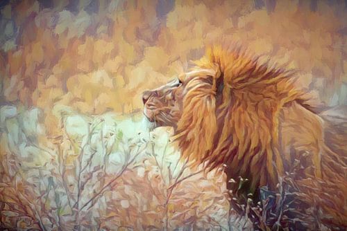 Lion in dreamland
