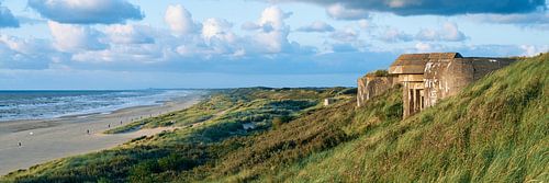 Plage panoramique de Scheveningen