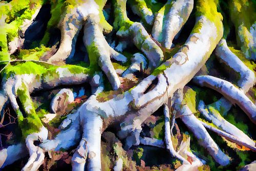 Gewortelde geschiedenis. 