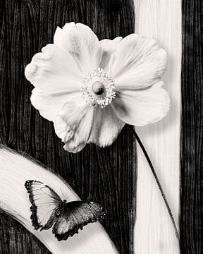 Blume und Schmetterling - Zeitlose Eleganz von Sander van Laar