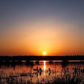 Sonnenuntergang in Drenthe. von Harma Kroeze-Raterink